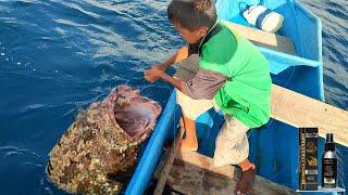 Saking Jitu nya umpan ini terancam habis ikan di laut, cuaca buruk bocil fight dengan ikan kedalaman