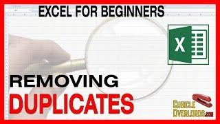 Finding and removing duplicate values - Microsoft Excel for Beginners