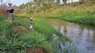 VOÇÊ VAI VER MAIS DE UMA VEZ E NÃO VAI ACREDITAR./PESCARIA DE BARRANCO COM VARA DE BAMBU.