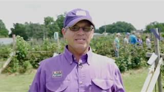 2020 LSU AgCenter Blackberry Field Day (Overview)