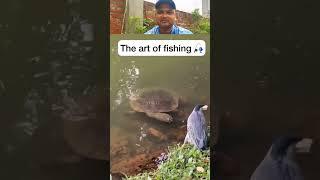 The art of fishing  #shorts
