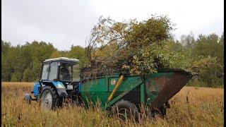 Разрабатываем заброшенное заросшее поле / осенняя вспашка зяби МТЗ 82.1 ПЛН 3.35 /  за Русь!