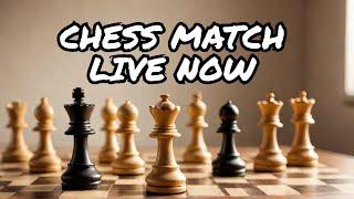 Chess.com | Live Stream