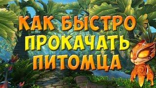 Как быстро прокачать питомца. С 1 до 25 лвл за 10 минут! Укротители Дренора