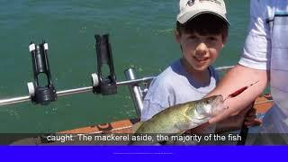 Fishing Charters Boynton Beach | Florida Fishing Charters | Boynton Beach Fishing Charters