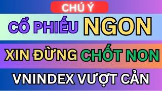 CHỨNG KHOÁN HÔM NAY: (CHÚ Ý) CỔ PHIẾU NGON XIN ĐỪNG CHỐT NON