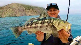 Fishing Catalina Island! (Camping, Catch, Clean and Cook)