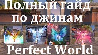 Полный гайд по джинам в Perefect World