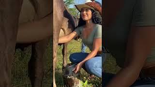 OMGSimple Dimple TikTok Challenge. tiktok Dance.#trends #shots #tiktok #omg #fyp #sexygirl