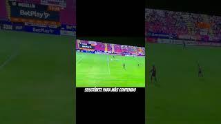 Gol de Brayan León | Tolima vs Medellín #futbol #ligabetplay #cuadrangulares2025 #dim #brayanleon