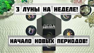 Дева ️ Таро прогноз с 13 по 19 Января 2025