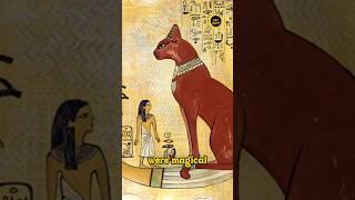 Cats in Ancient Egypt #travel #shorts