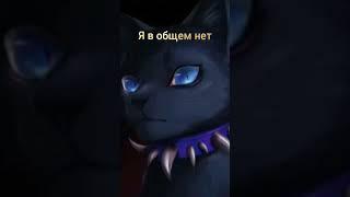 кто я из котов воителей? #котывоители #бич