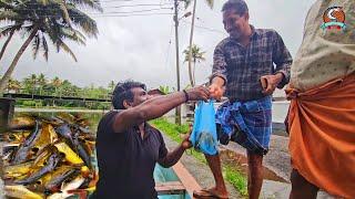 മഞ്ഞക്കൂരി വിൽക്കാൻ പോയപ്പോൾ |Earth Lovers Media|Real Life Vlog