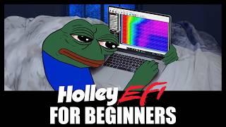 Holley EFI for Beginners - 3.5" Screen vs. Laptop