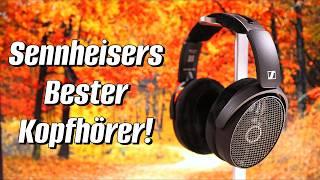 mein ERSTES Kopfhörer HIGHLIGHT überhaupt!!!  | Sennheiser HD 490 Pro