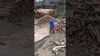 This cute boy conscientiously stacks firewood. He deserves a Like