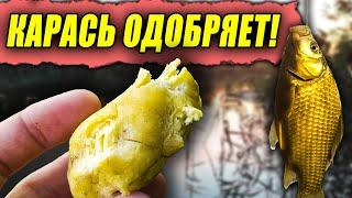 Рыбачу на ТЕСТО по РЕЦЕПТУ от ПОДПИСЧИКА! Это ТЕСТО ловит лучше, чем ОПАРЫШ?! Попал на ЖОР КАРАСЯ!