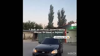 #sorts #cat #2024год #funny #automobile #music #wedding