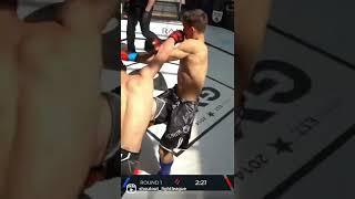 16yo vs. 17.yo MMA talents #mma #fighting #sports #crazy #shoutoutfightleague