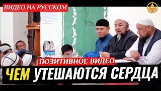 ЧЕМ УТЕШАЮТСЯ НАШИ СЕРДЦА (позитивно-полезное видео). Шейх Чубак ажы