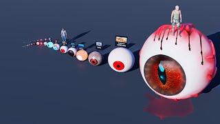 Eye size comparison | From smallest to biggest | 3D animation