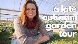 A November Garden Tour?! (Low Expectations in a Warm Fall Garden)