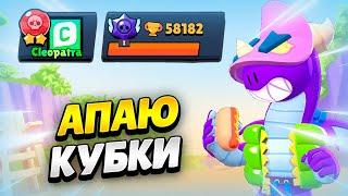  АПАЮ КУБКИ С КОМАНДОЙ В БРАВЛ СТАРС | КЛЕО BRAWL STARS