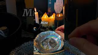 Wealth attraction spell jar  #witchcraft #spellwork #potion #abundance #spell