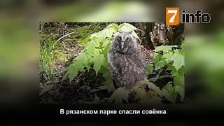 Обзор новостей Рязани за 15 мая.