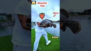 Monster fishing 77 | fishing videos | hunting | #shorts #fishing #hunting #facts #vlog