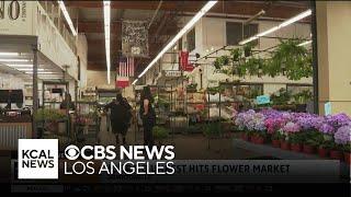Downtown LA businesses impacted by immigration enforcement