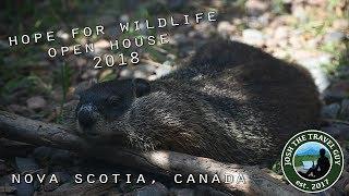 Hope for Wildlife Open House 2018 | Nova Scotia | Canada
