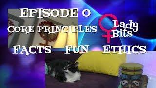 Core Principles of the Series (Lady Bits #0)