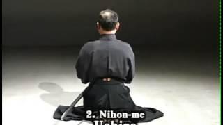 ZNKR Iaido 2008