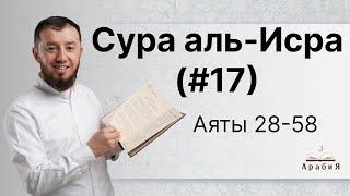 Урок № 96. Красивое чтение суры "аль-Исра" (№ 17), аяты 28-58. #АрабиЯ​ #ArabiYA #Palestine