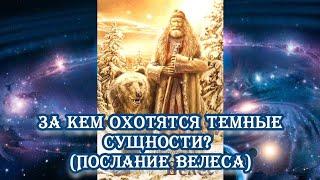 За кем охотятся темные сущности? (Послание Велеса) 20.01.2024 