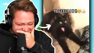 Meme Daddy Watches Gen Z Memes?
