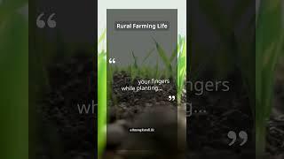 Feeling Soil Between Your Fingers | Understanding Patience in Farming