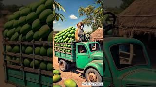 The monkey runs into village and brings a truck full of mangos for grandmother  #ai #monkey #mango