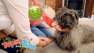 Topsy & Tim 's Dog Is Sick!  | Full Episode Compilation for Kids | WildBrain Zigzag