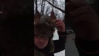 Орешек для белки / A nut for a squirrel