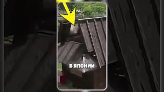 Скрытые Водяные Пушки #интересно #интересное #новости