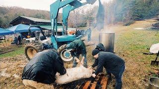 Butchering Pigs ~ 10 Steps from Alive to Our Bellies