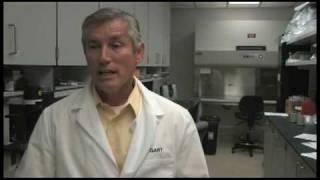 K-State's updated Veterinary Diagnostics Lab