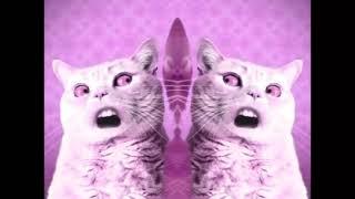 Singing Cats (Numa Numa) Fast Voice