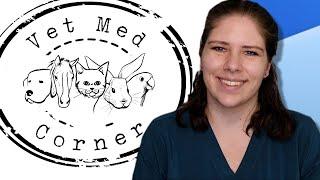 Welcome to Vet Med Corner with Dr. Em!