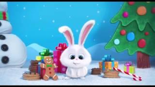 The Secret Life of Pets – Christmas piece (Universal Pictures)