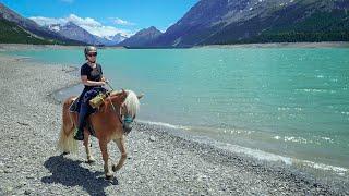 Wanderritt Alpenüberquerung zu Pferd 2021 - Trailride Crossing The Alps on horseback