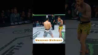 Ислам Махачев- Ренато Мойкано НОКДАУН #мма #махачев #sports